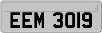 EEM3019