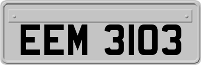 EEM3103