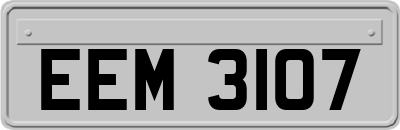 EEM3107