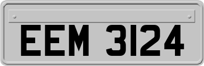 EEM3124