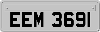 EEM3691