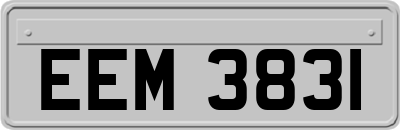EEM3831