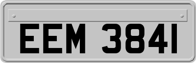 EEM3841