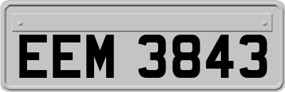 EEM3843