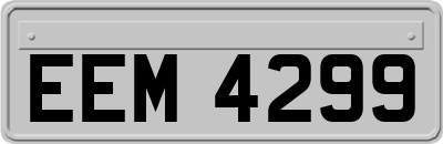 EEM4299