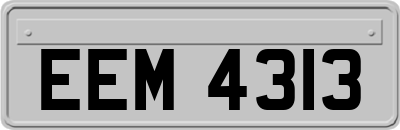 EEM4313
