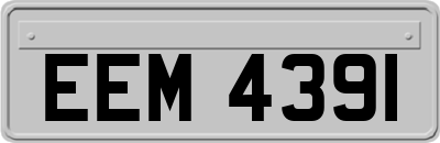 EEM4391