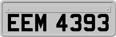 EEM4393