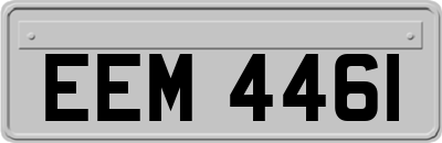 EEM4461