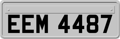 EEM4487