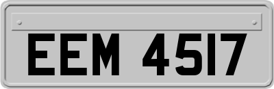 EEM4517