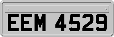 EEM4529
