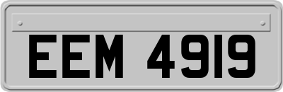 EEM4919