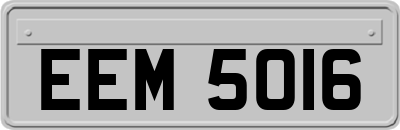 EEM5016