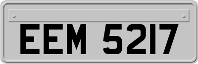 EEM5217