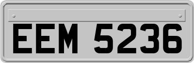 EEM5236