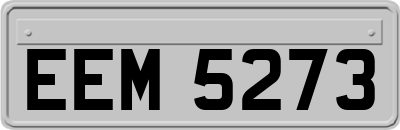 EEM5273