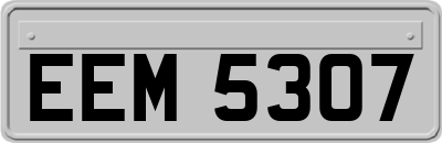 EEM5307