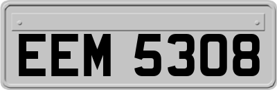 EEM5308