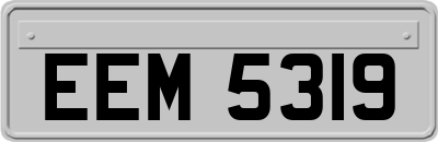 EEM5319