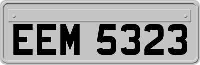 EEM5323