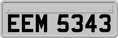 EEM5343