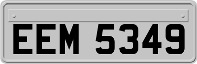 EEM5349