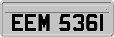 EEM5361