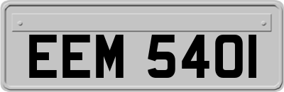 EEM5401