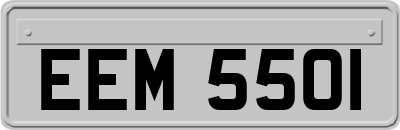 EEM5501
