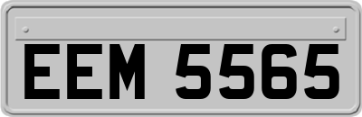EEM5565