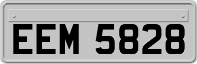 EEM5828