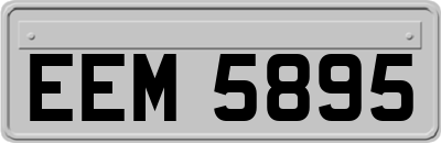 EEM5895