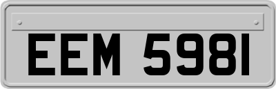 EEM5981