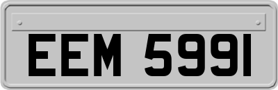 EEM5991