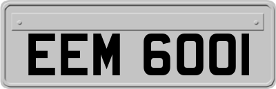 EEM6001