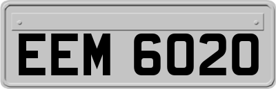 EEM6020