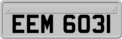 EEM6031