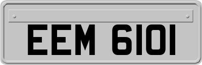 EEM6101