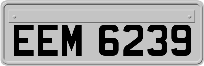 EEM6239