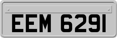 EEM6291