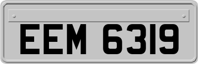 EEM6319