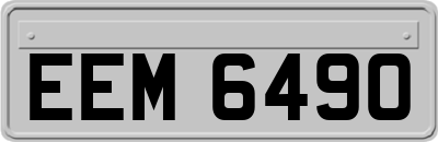 EEM6490