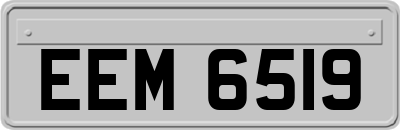 EEM6519