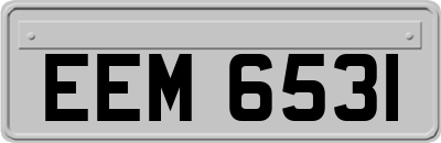 EEM6531