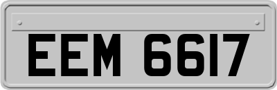 EEM6617
