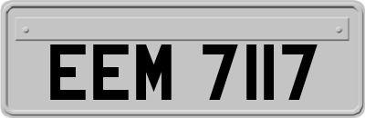 EEM7117