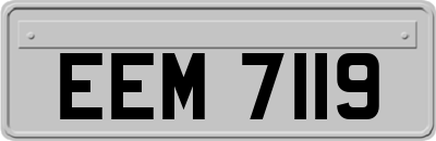 EEM7119
