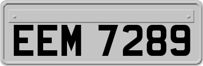EEM7289