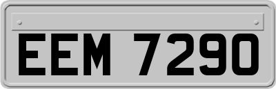 EEM7290